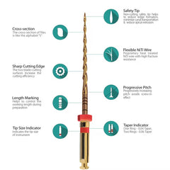 Neoendo S Assorted NiTi Rotary Files