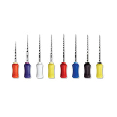 Dentsply ProTaper Universal NiTi Hand Files