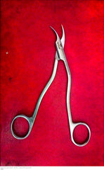 Surgical Suture Cutting Scissor Special Quality