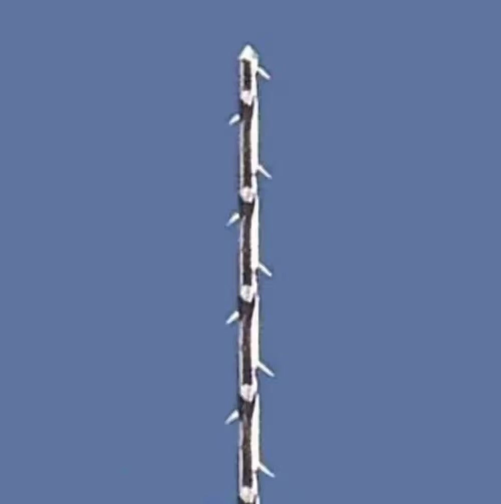 Mani Stainless Steel Barbed Broaches