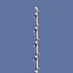 Mani Stainless Steel Barbed Broaches