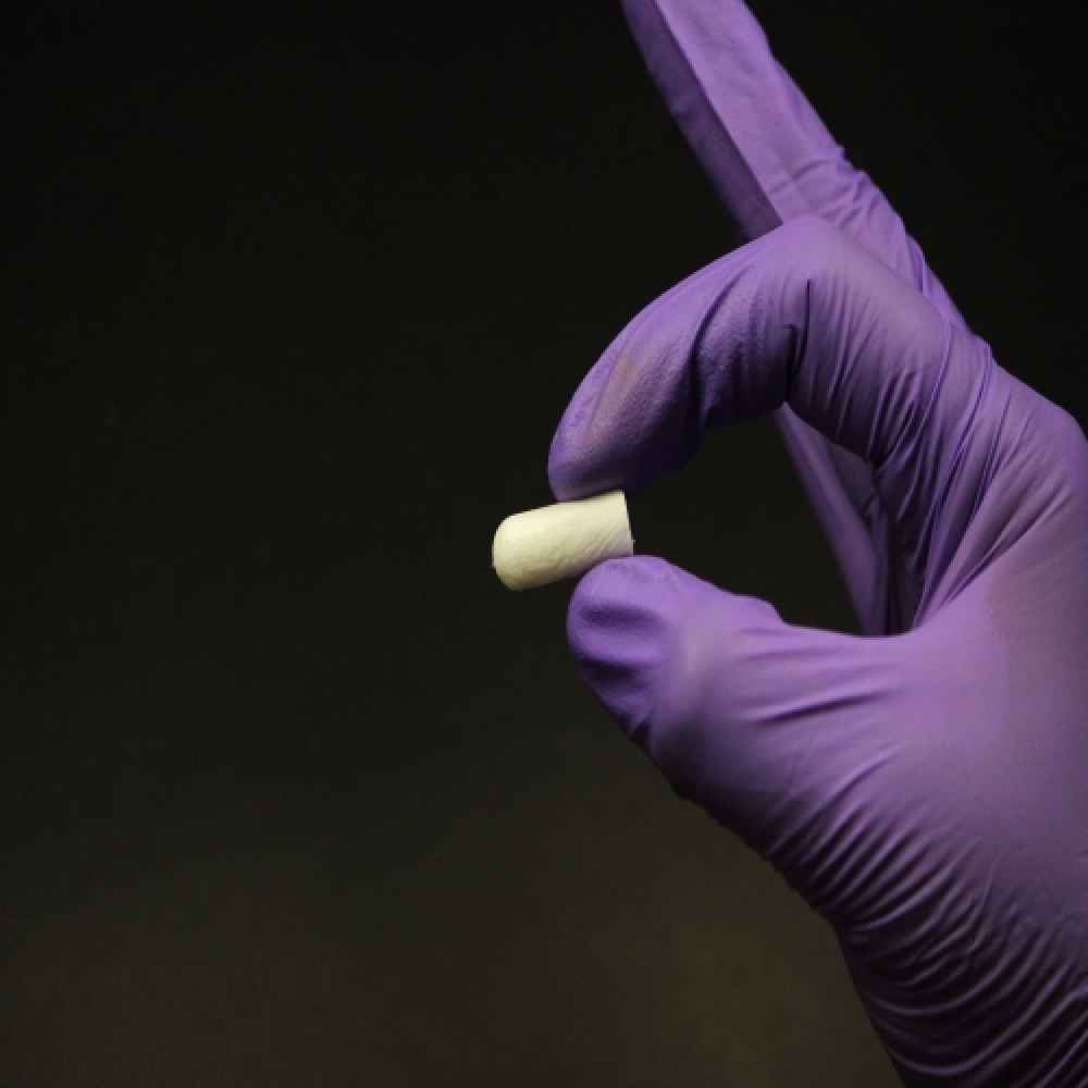 Cologenesis Colo Plug Sterile Collagen Sponge